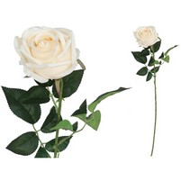 ROSA SINGOLA GRANDE CM.78